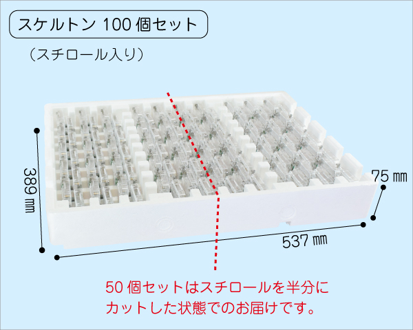 スケルトン　100個セット